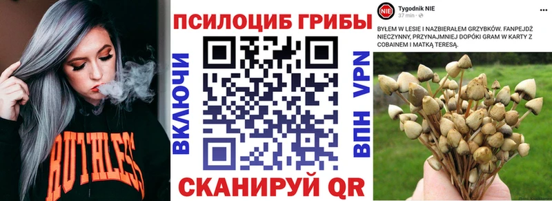 Псилоцибиновые грибы мухоморы  Купить  Межгорье 
